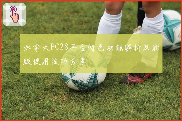 加拿大PC28平台特色功能解析及新版使用技巧分享