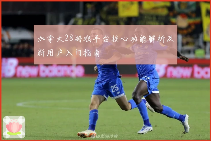 加拿大28游戏平台核心功能解析及新用户入门指南