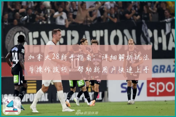 加拿大28新手指南:详细解析玩法与操作技巧,帮助新用户快速上手