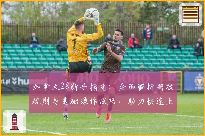 加拿大28新手指南：全面解析游戏规则与基础操作技巧，助力快速上手体验