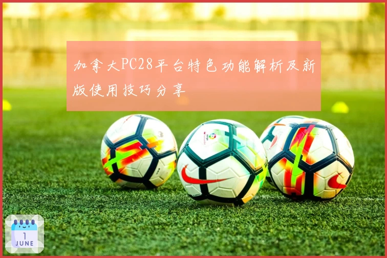 加拿大PC28平台特色功能解析及新版使用技巧分享