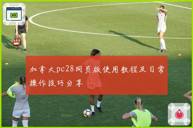 加拿大pc28网页版使用教程及日常操作技巧分享