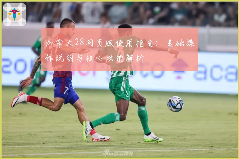 加拿大28网页版使用指南：基础操作说明与核心功能解析