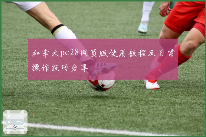 加拿大pc28网页版使用教程及日常操作技巧分享