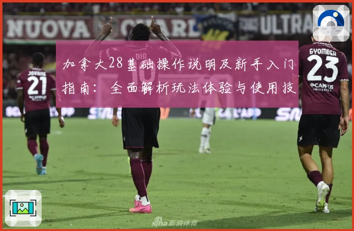 加拿大28基础操作说明及新手入门指南：全面解析玩法体验与使用技巧