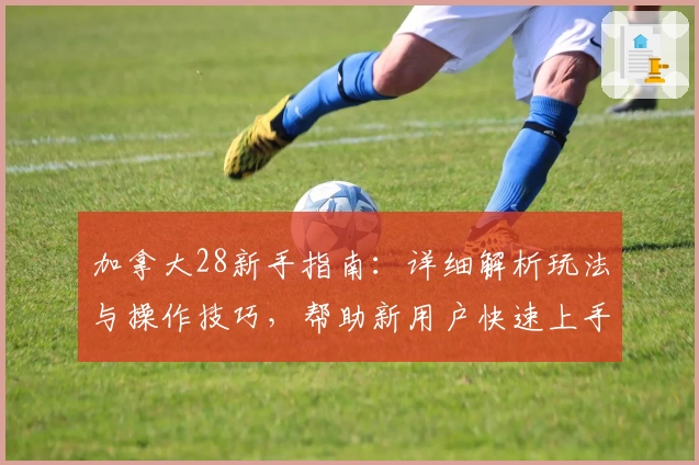 加拿大28新手指南：详细解析玩法与操作技巧，帮助新用户快速上手