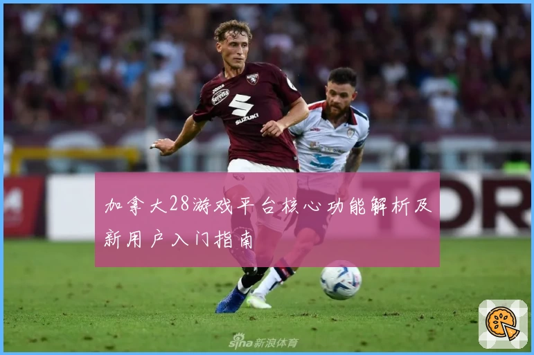 加拿大28游戏平台核心功能解析及新用户入门指南