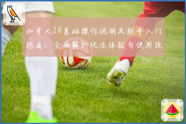 加拿大28基础操作说明及新手入门指南：全面解析玩法体验与使用技巧